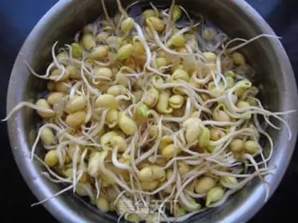 Make Home-made soybean sprouts step 6