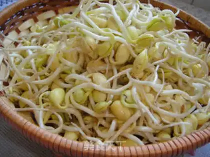Make Home-made soybean sprouts step 7