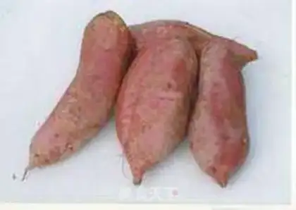 Make sweet potato sesame cake step 1