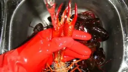Make Steamed crayfish step 3
