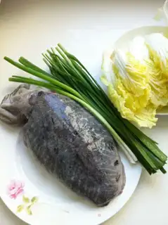 Make Cuttlefish baby cabbage step 0