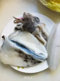 Make Cuttlefish baby cabbage step 1