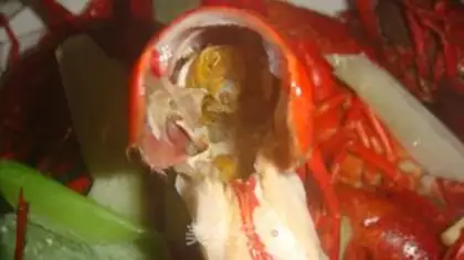 Make Steamed crayfish step 12