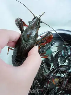 Make Finger sucking crayfish step 2