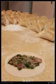 Make Dumpling pot stickers step 14