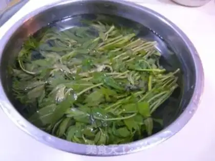 Make Clever pickled Chinese toon step 2