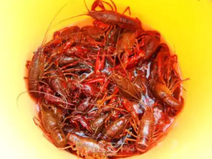 Make Authentic Hunan Flavor Shrimp step 0