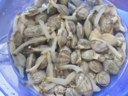 Make roasted clam in soy sauce step 1