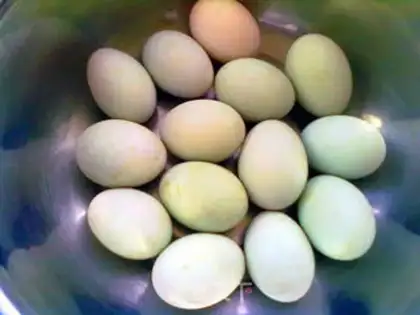 Make salted duck eggs step 1