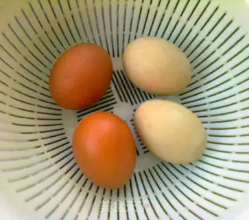 Make salted duck eggs step 5