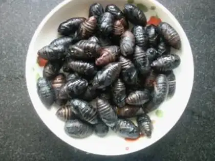 Make stir-fry cocoons and pupae step 0