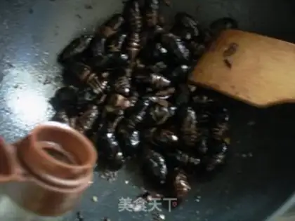 Make stir-fry cocoons and pupae step 5