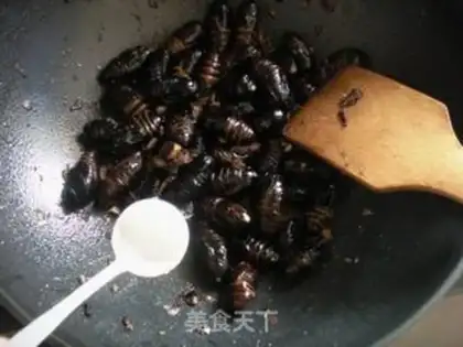 Make stir-fry cocoons and pupae step 7