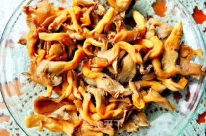 Make fried fresh mushrooms step 2