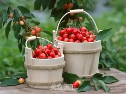 Make Cherry drink step 0