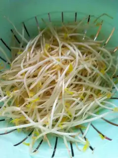 Make Fried shredded eel with leeks and bean sprouts step 1