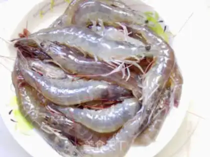 Make brine shrimp step 0