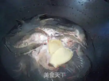 Make brine shrimp step 2