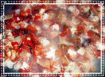 Make spicy crayfish step 2