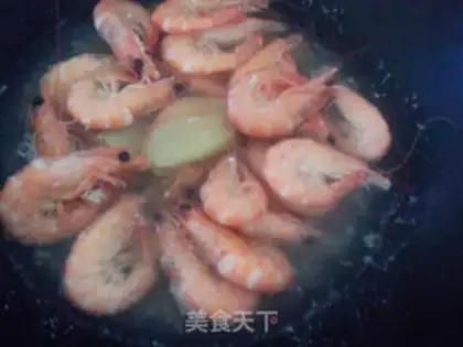 Make brine shrimp step 5