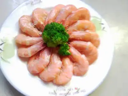 Make brine shrimp step 6