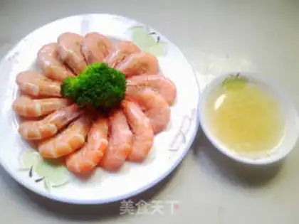 Make brine shrimp step 7
