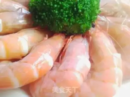 Make brine shrimp step 8