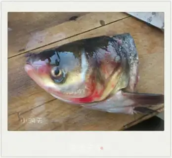 Make chopped pepper fish head step 1