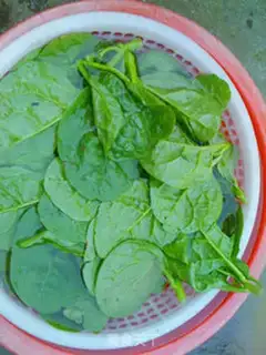 Make stir-fried argon step 1