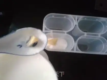Make Yogurt Mango Popsicle step 2