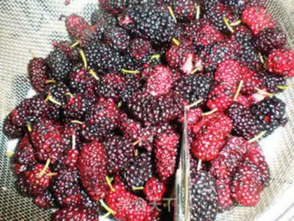 Make mulberry paste step 0