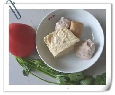 Make Stewed Frozen Tofu with Tomatoes step 0