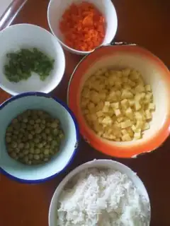 Make Vegetarian fried rice step 0