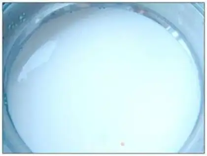 Make Qinghai Old Yoghurt step 0