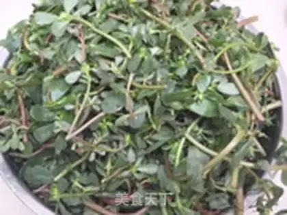 Make Portulaca step 3