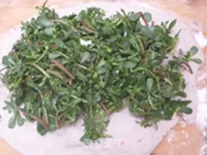Make Portulaca step 6