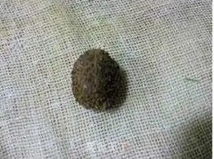 Make Jiang dried salted duck step 6