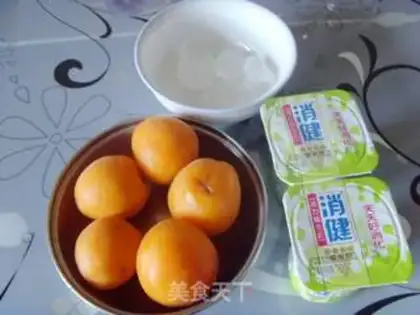 Make Yogurt and apricot ice step 0