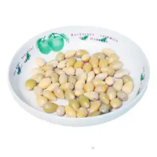 Make Stewed chicken with ginkgo seeds step 0