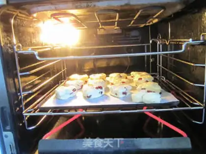 Make Cranberry Scone step 12