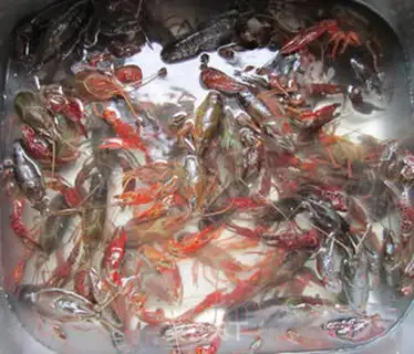 Make braised crayfish step 1