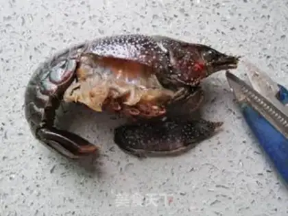 Make braised crayfish step 5