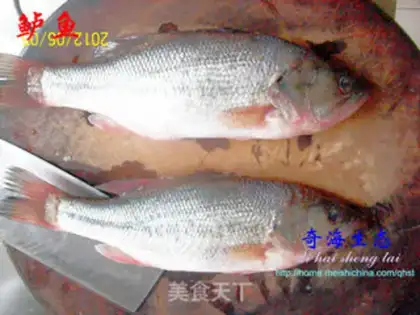 Make Anatomy and application of perch step 0