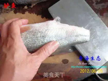 Make Anatomy and application of perch step 1