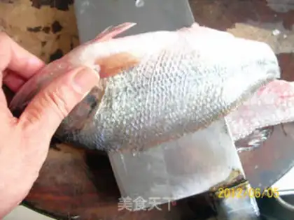 Make Anatomy and application of perch step 2