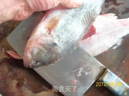 Make Anatomy and application of perch step 3