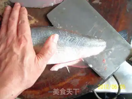 Make Anatomy and application of perch step 5