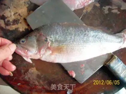 Make Anatomy and application of perch step 6