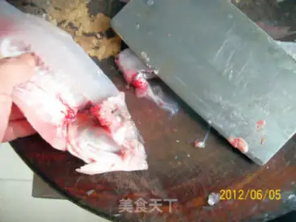 Make Anatomy and application of perch step 7