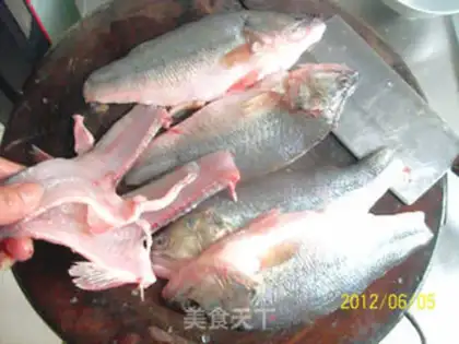 Make Anatomy and application of perch step 10